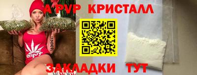 PSILOCYBIN Можга