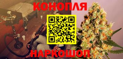 PSILOCYBIN Можга