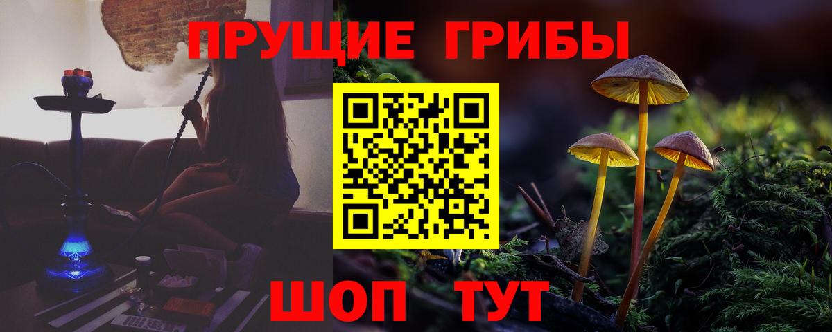 где найти наркотики  Вход с VPN  Старая Купавна  Псилоцибиновые грибы Cubensis 